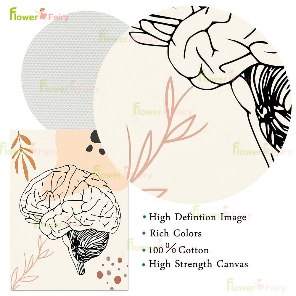 İnsan Anatomisi Bilim Beyin Kr - Science Nursery incelemesi ve fiyatı