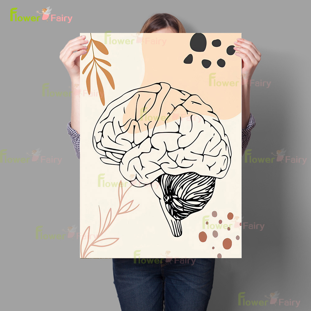 İnsan Anatomisi Bilim Beyin Kr - Science Nursery incelemesi ve fiyatı