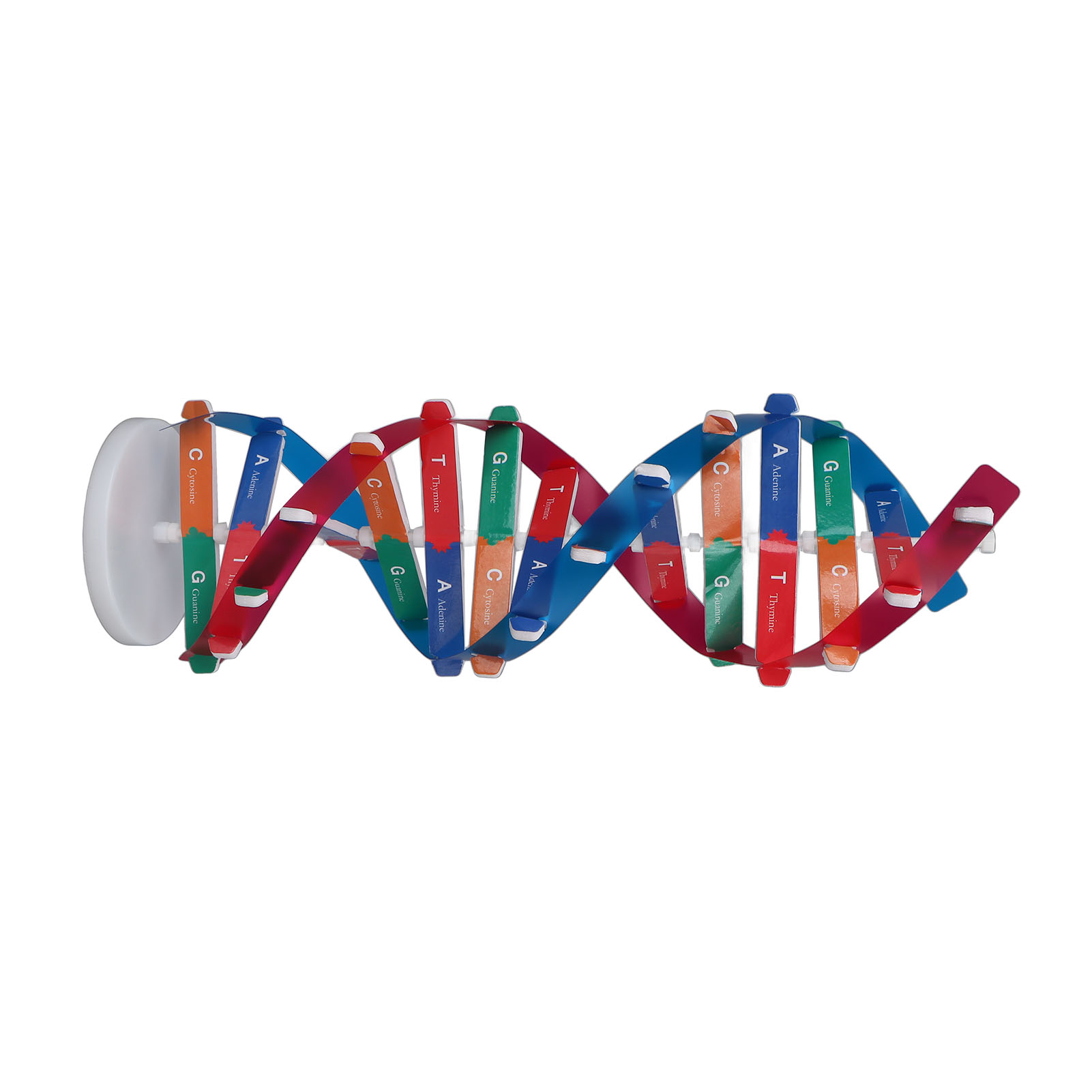 DNA Modeli Kiti İnsan DNA Mode - Science Kit incelemesi ve fiyatı
