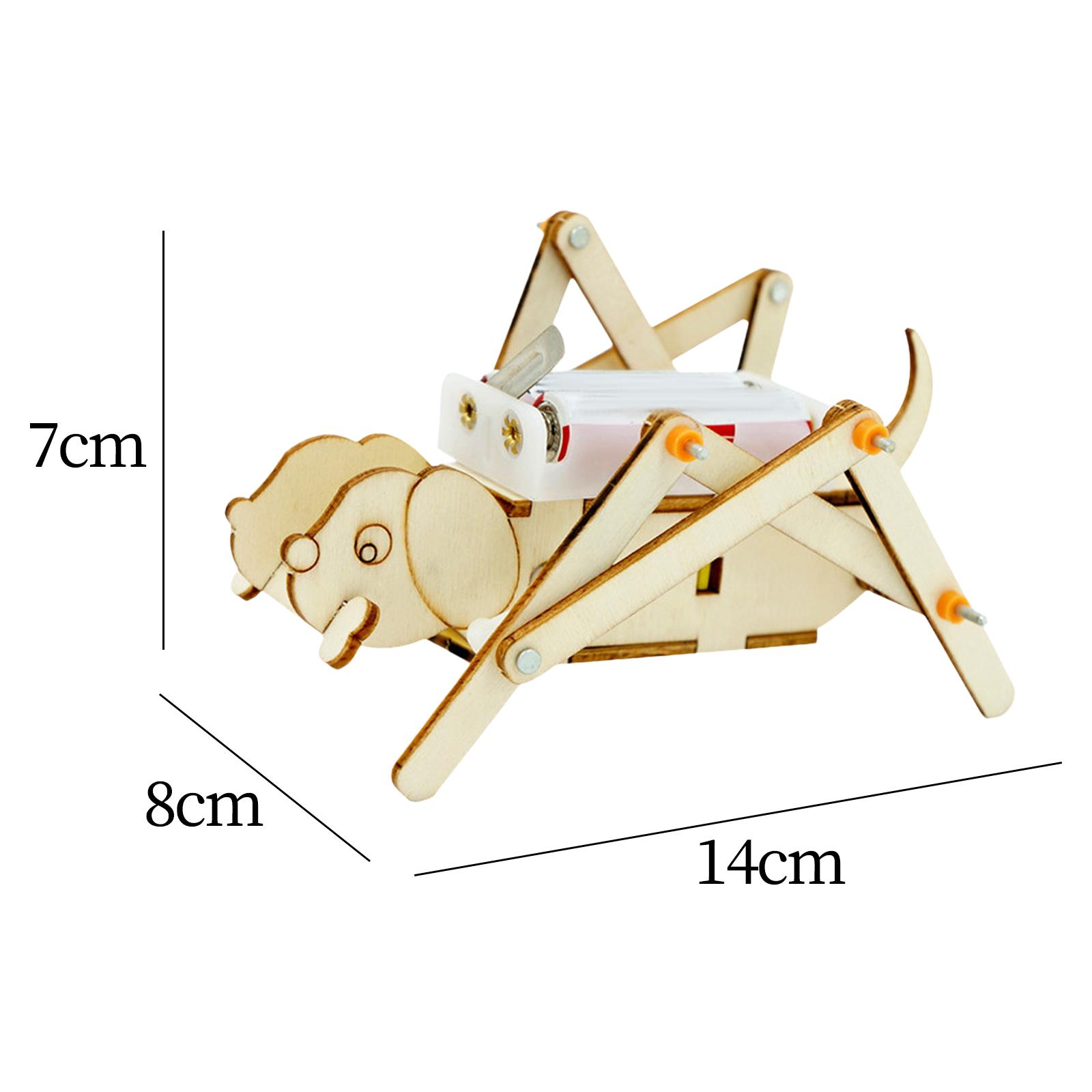DIY Ahşap Model Seti Bilim Set - Science Project Toys Making incelemesi ve fiyatı