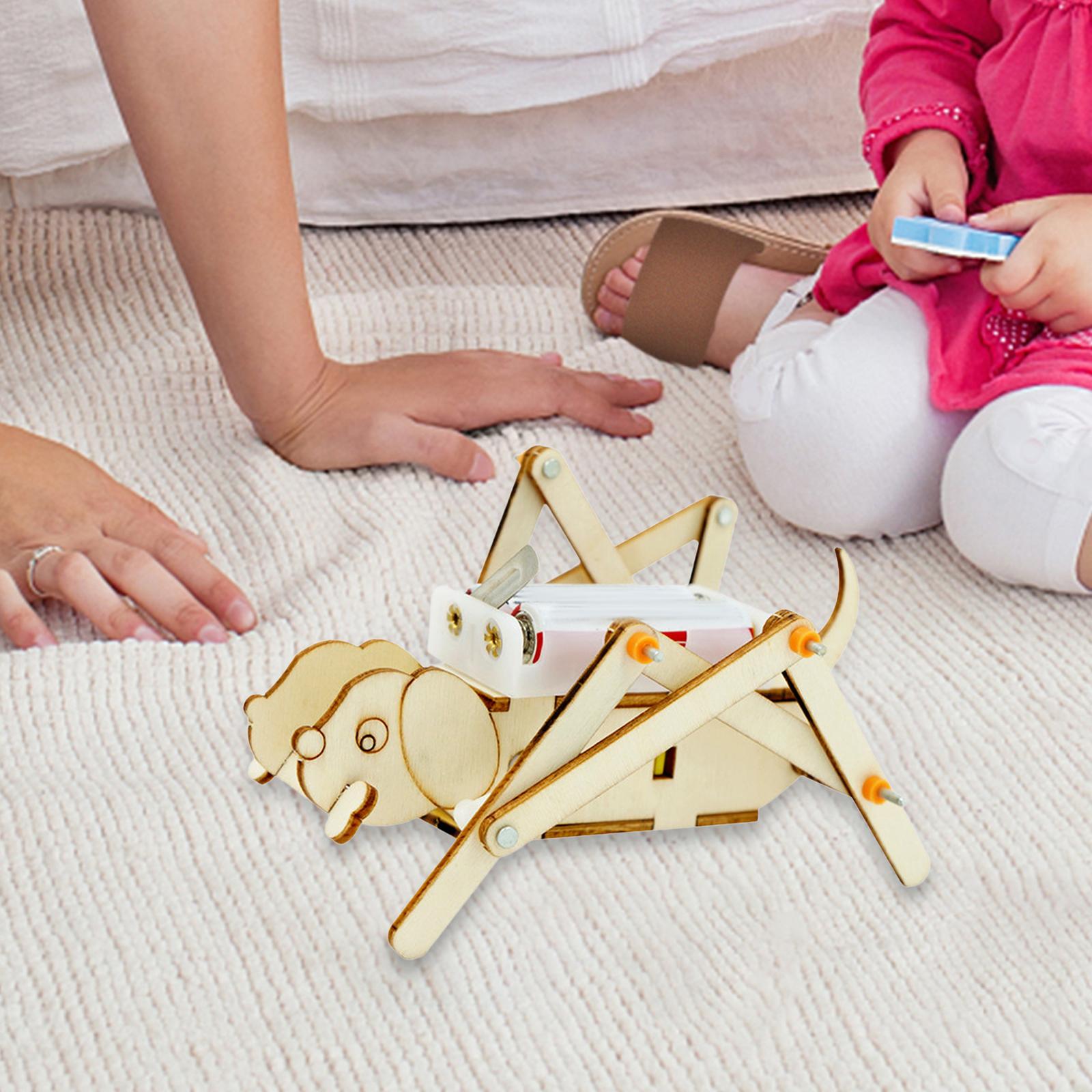 DIY Ahşap Model Seti Bilim Set - Science Project Toys Making incelemesi ve fiyatı